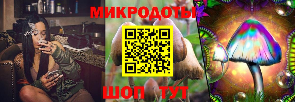 Псилоцибиновые грибы прущие грибы  Псилоцибиновые грибы GOLDEN TEACHER  Вход с VPN  Майкоп 