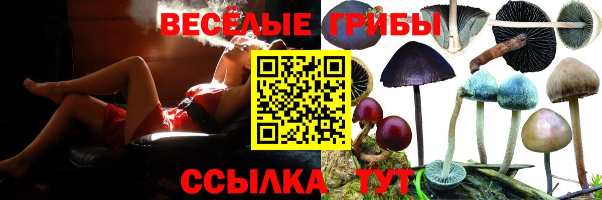 Галлюциногенные грибы прущие грибы Майкоп