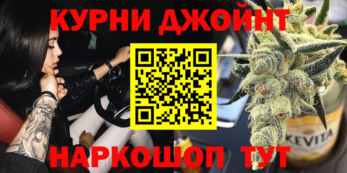 Канабис сатива Майкоп